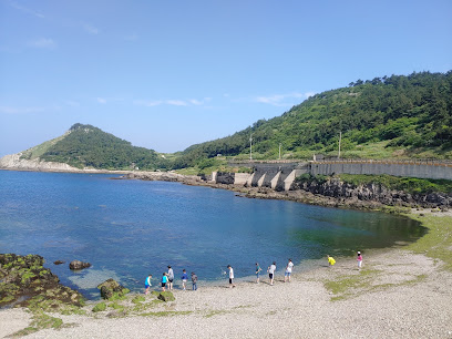 후포비치