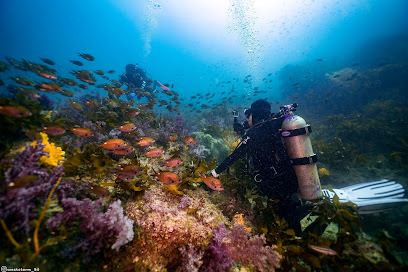 펀펀다이브클럽 FunFun Dive Club