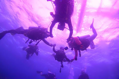 일산 알투스쿠버(R2 SCUBA)