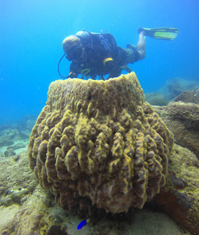 Hikka Deep Blue Dive Center