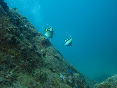 Srilanka Dive School