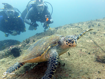 Weligama Bay Dive Center , PADI 5 Star Dive Resort