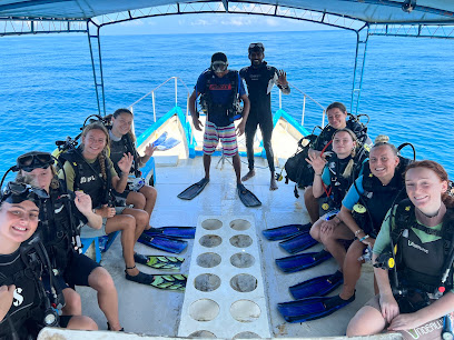 International Diving School - PADI 5 STAR DIVE RESORT
