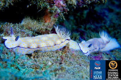 Poseidon Diving Centre Nilaveli Trincomalee - PADI 5 Star IDC Dive Centre