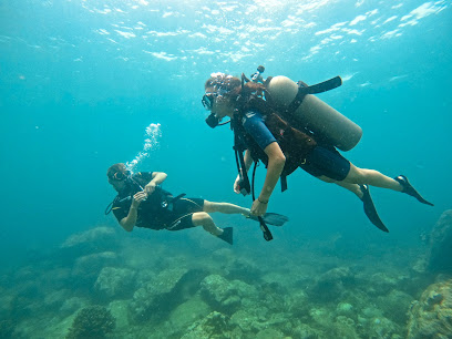Pearl Divers PADI Dive Center Trincomalee