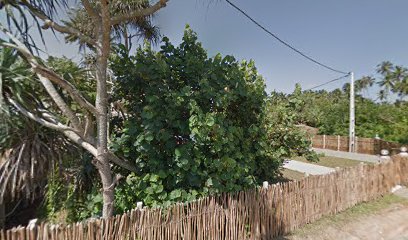 Scuba Diving, Watersports & Activities Centre