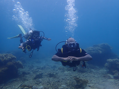 Scuba Diving Sri Lanka PADI Dive Resort S-29636