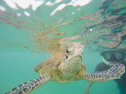 Mirissa Turtles Snorkeling & Fishing Center