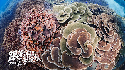 海人之島潛水俱樂部 OceanKind Dive Club