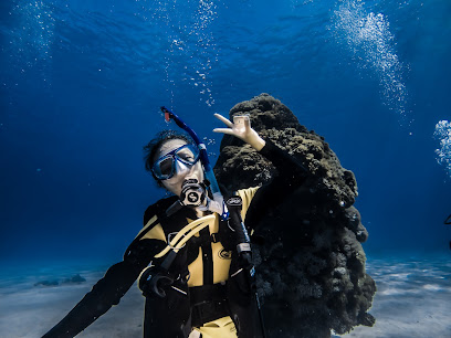 Seagather Diving Hostel