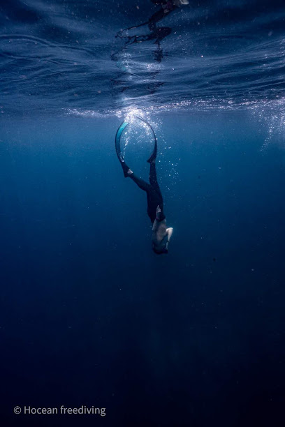 Hocean freediving 自由潛水工作室