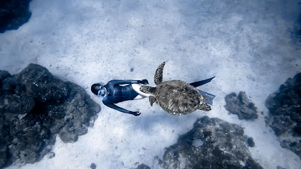墾丁自由潛水 Freedive Kenting｜特殊專長課程訓練機構