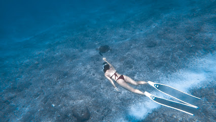 藍宇 Bluverse 自由潛水 Freediving