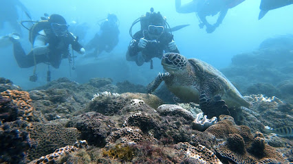 黑潮潛水訓練中心 Kuroshio Diving Center|潛水教學|fun dive|SDI Open Water潛水課程|潛水教練推薦