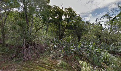 綠島安欣立潛水 I 自由潛水I 水肺潛水