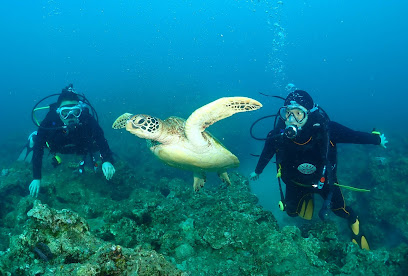 Black Dive 小琉球布雷克潛水