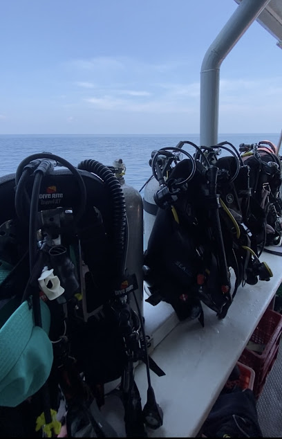 Funky Monkey Dive and Tour