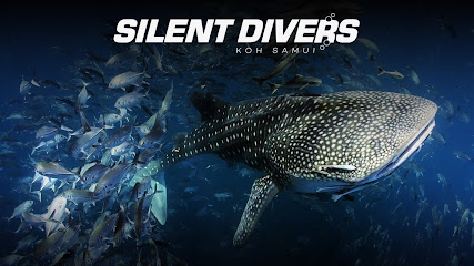 Silent Divers | Diving Koh Samui | PADI 5-Star Dive Center | PADI Courses & Diving Tours Koh Samui