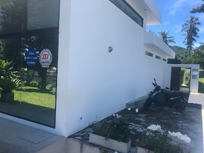 Dive Professional Academy