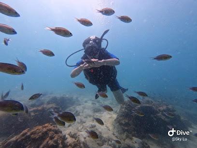 天际线潜水Skyline Diving Center 微信号:sky12191219