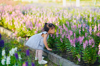 Ticha garden