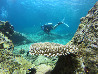 Monster-Phuket, PADI Instructor.