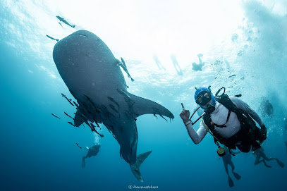 Unkle Dive