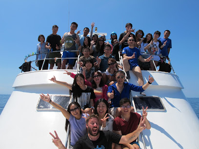 Smile Dolphin Diving