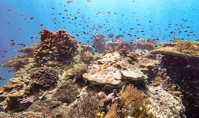 DPM Diving Koh Phi Phi