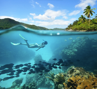 Phuket Scuba