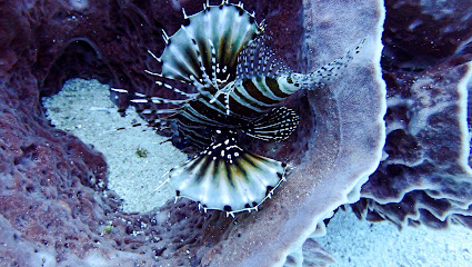 Compass Dive Centre