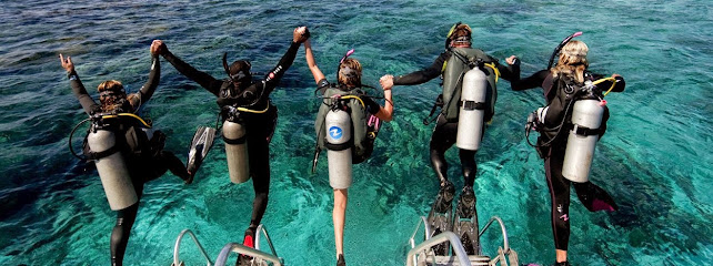 Similan Islands Liveaboard Expedition