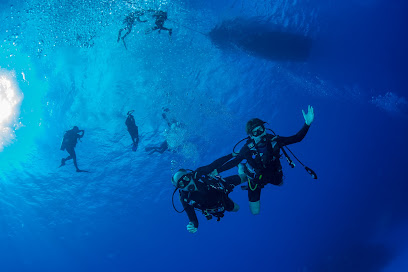 Plongée Koh Phangan Diving