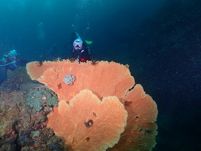 Odd dive thailand
