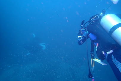 NT Wonder Diving