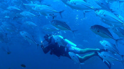 Luna Diving Thailand - Crociere Diving