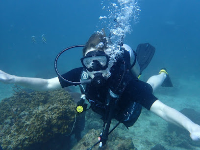 Reef Dive Center