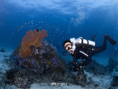Divever สอนดำน้ำ