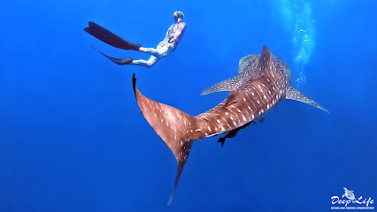 "Deep Life"