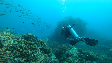 Scuba Shack, Koh Tao PADI dive center