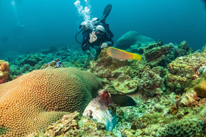 Ko Lanta Diving Center