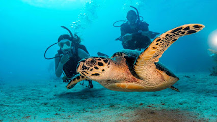 Seafari Dive Center | Pattaya Thailand
