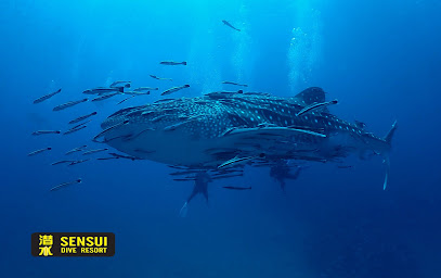 Sensui Dive Resort