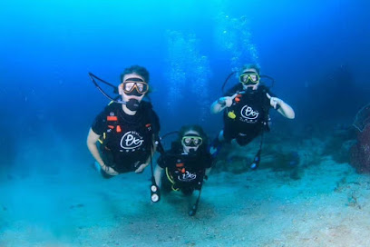 PKT.DIVING(Racha Island)
