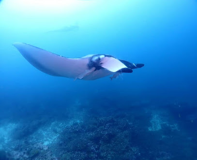 Crazydive Thailand