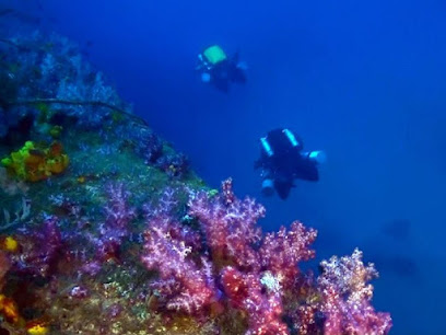 Koh Tao Thailand Diving