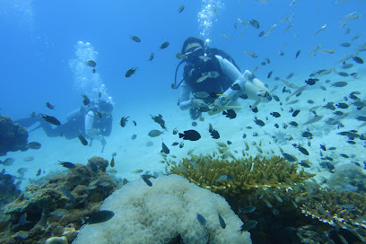 Ting Hai Scuba & Free Diving Phi Phi Island