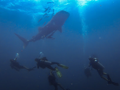 Koh Phangan Adventure Company