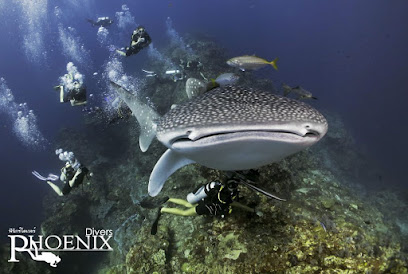 Phoenix Divers - Koh Lanta Diving, Freediving, Snorkeling