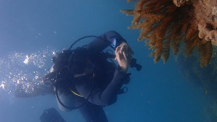 Rumblefish Vietnam PADI 5 Star IDC Center - Nha Trang